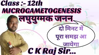 Microgametogenesis लघुयुग्मक जनन detailed lecture of MICROGAMETOGENESIS C K Raj Sir [upl. by Refenej]