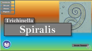 Trichinella spiralis a ratpig worm facing dead end host  Parasitology  by Imran Yaseen [upl. by Ahsen]