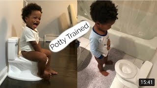 How I potty trained a toddler Step by step mumlife [upl. by Yecaw]