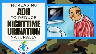 Increasing ADH to Reduce Nighttime Urination Naturally [upl. by Romona]