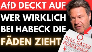 AfD reißt die GRÜNE MASKE runter 🚨 Von Storch enthüllt das DUNKLE NETZWERK hinter HABECK [upl. by Wald]