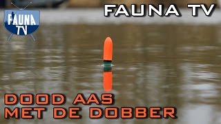 Fauna TV  Snoeken met dood aas onder de dobber [upl. by Dranreb]