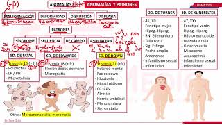 ANOMALÍAS CONGÉNITAS NEONATOLOGIAENAM 2020 [upl. by Warenne702]