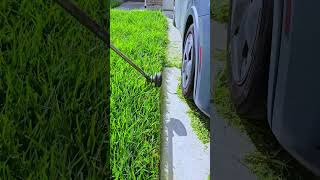 Grass Edging lawncare grassedging mowing [upl. by Sabine586]