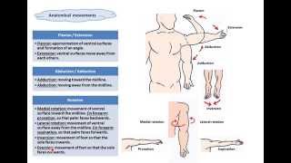 terms of movementsDrAhmed Farid [upl. by Bunni]