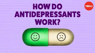 How do antidepressants work  Neil R Jeyasingam [upl. by Ahsiuqat]