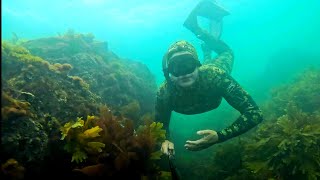 Come snorkeling with us amongst the amazing reefs at Thurlestone Rock Devon [upl. by Sitnik]