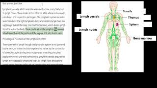 Lymphatic system overview [upl. by Aissyla]