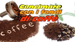 CONCIMARE CON I FONDI DEL CAFFE [upl. by Corb889]