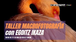 Taller Macrofotografía con Egoitz Ikaza [upl. by Ardnaik]