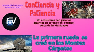 un ecosistema con gusanos gigantes bajo el fondo del Pacífico ConCienciayPaCiencia [upl. by Gallenz286]