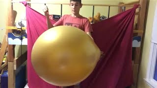 Giant 3 foot balloon pop [upl. by Harwilll996]