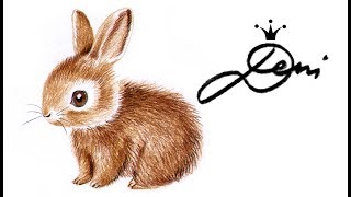 🐰 Kaninchen 🐇 Häschen zeichnen lernen in 3 Farben 🐰 how to draw a bunny with 3 colors 🐰 рисува зайче [upl. by Maltzman]