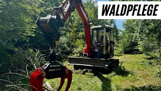 Waldpflege Laubwald ausdünnen mit Husqvarna 550xp und Kubota Bagger mit Krpan Holzzange [upl. by Eyde]