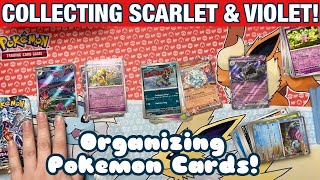 ORGANIZING Pokémon CARDS Stellar Crown Obsidian Flames amp Twilight Masquerade Gotta Collect em All [upl. by Godding]