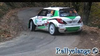 Rallye Du Var 2013 Pure Sound  HD [upl. by Nawad624]