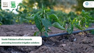 Nestlé Pakistan’s efforts towards promoting innovative irrigation solutions [upl. by Yesllek]