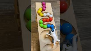 Marble runs with extremely rolling slopes marblerun marblerunrace asmr [upl. by Hayouqes262]