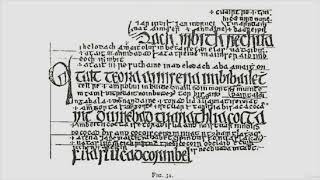 Medieval Irish Law The Legal Manuscripts of the Brehon Law [upl. by Benis]