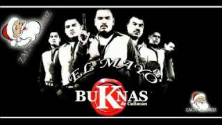 Los BuKnas De Culiacan  El Mayo [upl. by Iron]