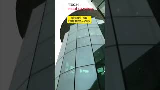 Tech Mahindra Work From Home Jobs 2024 🚀 12th Pass Only  Monthly 40000 Salary job jobs shorts [upl. by Aliuqa514]