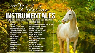 Las 20 Melodias Mas Romanticas Instrumentales  Musica Instrumental De Oro Del Recuerdo [upl. by Atikal]