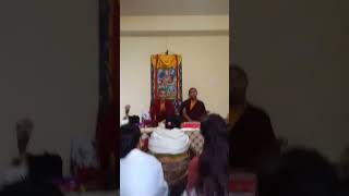 Dechen Choilling Anila meet Halisey Rinpoche Yangsi Tulku lha at Gtk [upl. by Naylor]