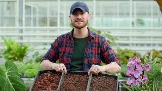 Whats the best compost mix for my plants  Busting Houseplant Myths with Tony LeBritton  The RHS [upl. by Blanch]