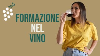 FORMAZIONE NEL VINO [upl. by Stephenson157]