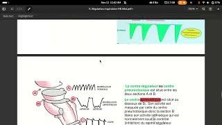 physiologie respiratoire centre respiratoire [upl. by Hafler]