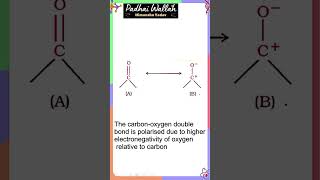 Structure of the carbonyl group ncert class 12 ncert [upl. by Akinohs461]