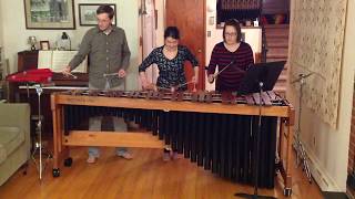 Hoedown from Rodeo by Aaron Copland arranged for marimba [upl. by Iadrahs]