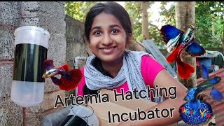 Artemia Hatching Incubator for guppy and betta live food unboxing artemia [upl. by Dippold]