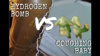 hydrogen bomb vs coughing babies genshin impact meme [upl. by Milicent219]