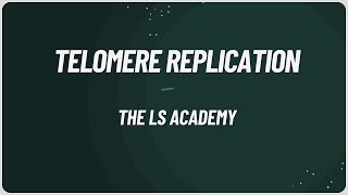 Telomere Replication End Replication CSIR Molecular Biology Unit3 [upl. by Ahseined505]