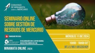 Minamata Online 4 Webinar on mercuryadded products  Spanish Session [upl. by Boeke975]