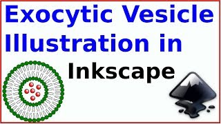 Inkscape for scientists  21  How to Illustrate an exocytic or endocytic vesicle [upl. by Etiam723]