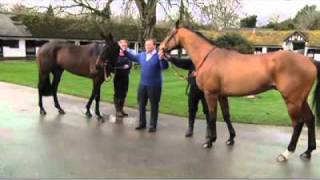 Gold Cup 2011 preview 12 Imperial Commander Long Run Kauto Star or Denman [upl. by Marzi]