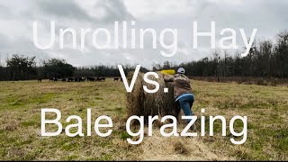 Unrolling Hay vs Bale Grazing with results [upl. by Marget]