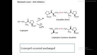 ACE Inhibitor  Dicarboxylate inhibitors AngiotensinII receptor blockers Combination Therapy [upl. by Jemena]