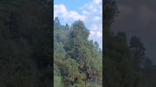 Murmah Tea Estate Mirik [upl. by Nawat301]