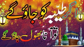 Hara Gumbad Jo Dekhoge Zamana Bhool jaoge  Naat [upl. by Aviv]