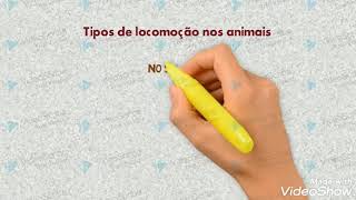 Locomoção dos Animais para Crianças Ensino Infantil [upl. by Aniweta]