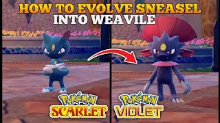 How To Evolve Sneasel Into Weavile In Pokemon Scarlet and Violet [upl. by Jareen409]