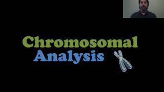 Chromosomal Analysis [upl. by Avevoneg]