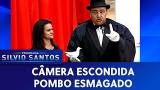 Pombo Esmagado  Câmeras Escondidas 151119 [upl. by Prescott565]