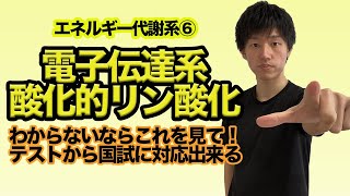 【エネルギー代謝系⑥電子伝達系・酸化的リン酸化】解糖系やクエン酸回路を経ていよいよATPを生成する電子伝達系・酸化的リン酸化を国試ポイント踏まえて簡単解説！ [upl. by Eelyrag]