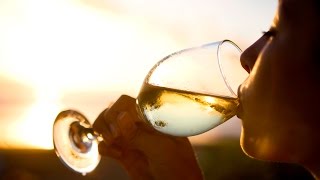 A winelovers guide to Pinot Grigio  The World of Wine [upl. by Assyram127]