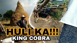 NAKAHULI KAMI NG ULUPONGKING COBRA [upl. by Ilehs]