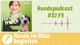 Hunde im Alter Wie können wir sie unterstützen  zooplus Hundepodcast  S2 F9 [upl. by Nede]